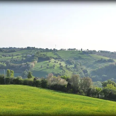 Bubo-Immerso-Tra-Gli-Alberi